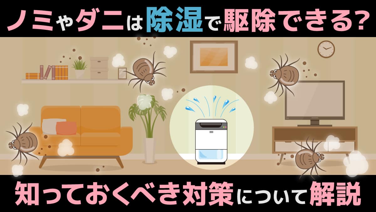 ノミやダニは除湿で駆除できる？知っておくべき対策について解説