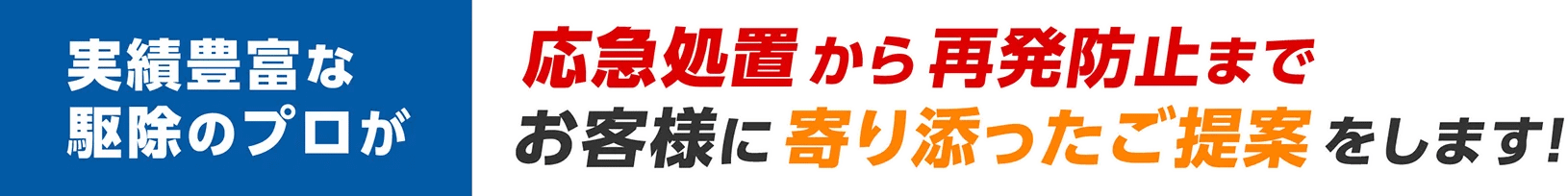 実績豊富な駆除のプロが応急処置から再発防止までお客様に寄り添ったご提案をします！