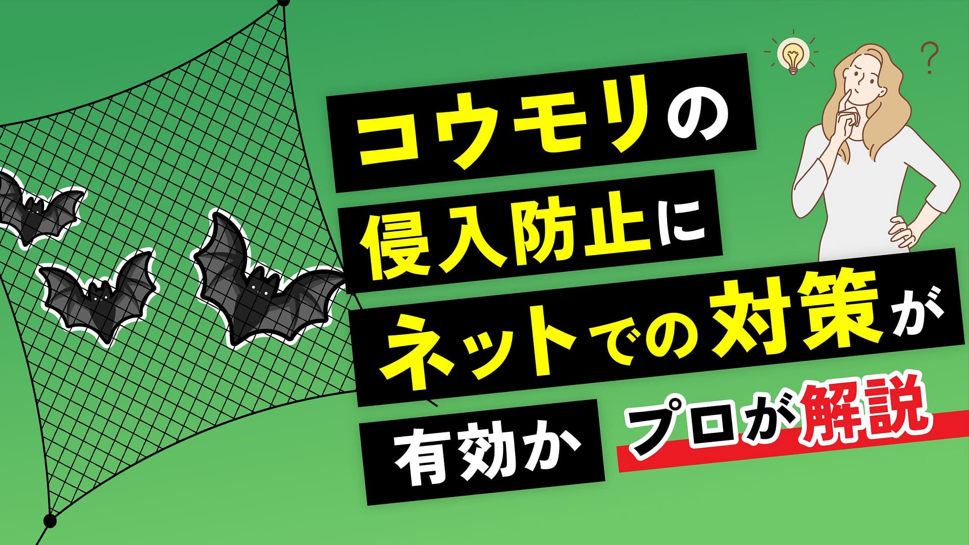 コウモリの侵入防止にネットでの対策が有効かプロが解説