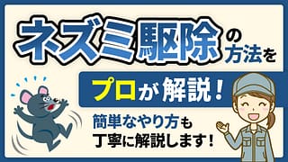 ネズミ駆除の方法をプロが解説！簡単なやり方も丁寧に解説します！　