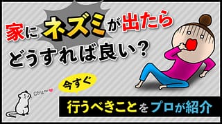 家にネズミが出たらどうすれば良い？今すぐ行うべきことをプロが紹介