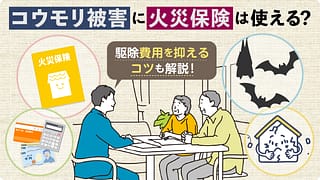 コウモリ被害に火災保険は使える？駆除費用を抑えるコツも解説！