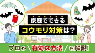 家庭でできるコウモリ対策は？プロが有効な方法を解説！