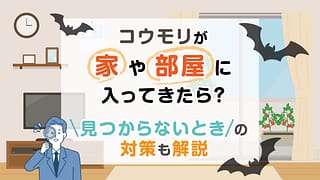 コウモリが家や部屋に入ってきたら？見つからないときの対策も解説