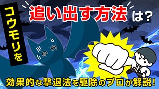 コウモリを追い出す方法は？効果的な撃退法を駆除のプロが解説！