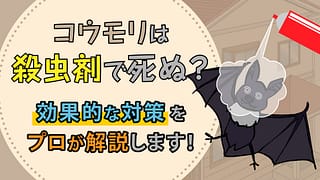 コウモリは殺虫剤で死ぬ？効果的な対策をプロが解説します！