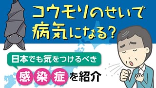 コウモリのせいで病気になる？日本でも気をつけるべき感染症を紹介