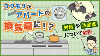 コウモリがアパートの換気扇に！？対策や注意点について解説