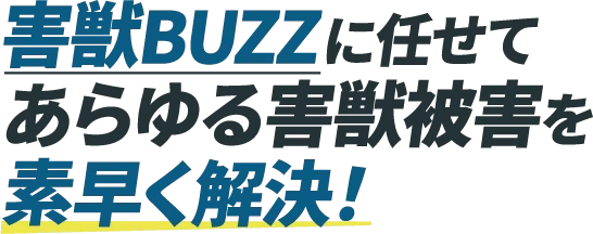 ”害獣BUZZに任せてあらゆる害獣被害を素早く解決！”