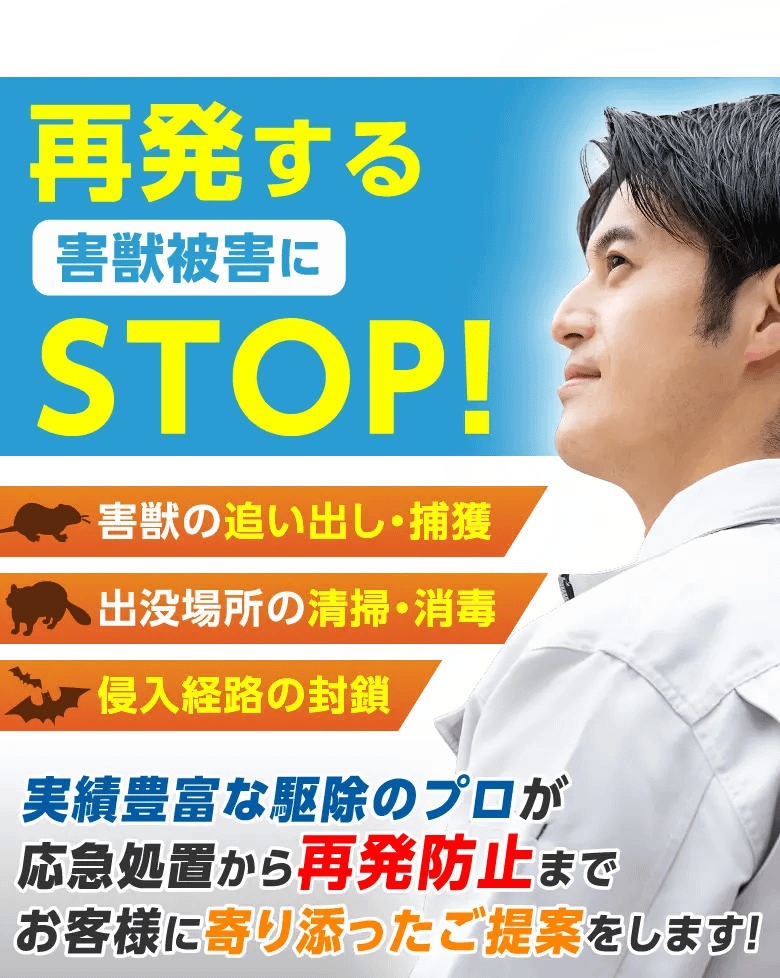 再発する害獣被害にSTOP　害獣の追い出し・捕獲　出没場所の清掃・消毒　侵入経路の封鎖　実績豊富な駆除のプロが応急処置から再発防止までお客様に寄り添ったご提案をします！